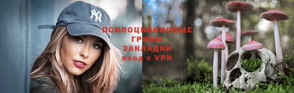 MDMA Дмитровск