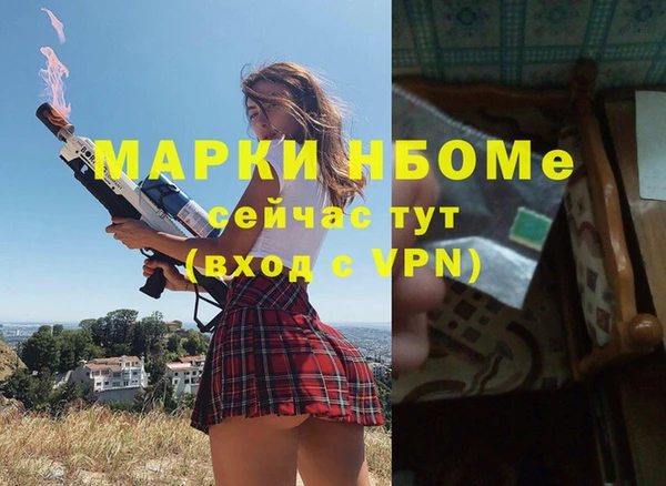 PSILOCYBIN Ельня