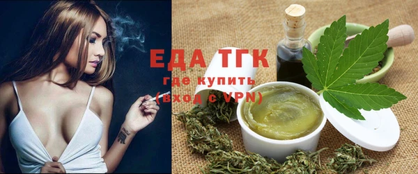 PSILOCYBIN Ельня