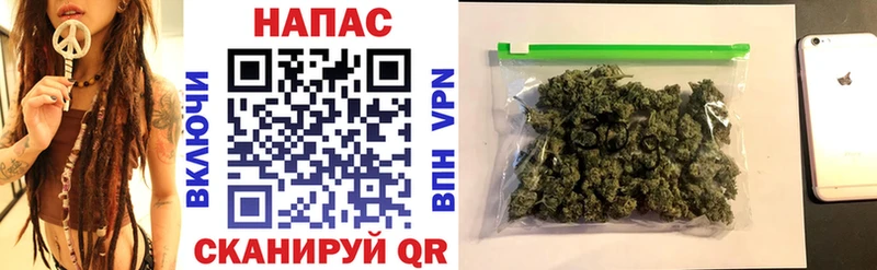 мориарти Telegram  Яхрома  Бошки Шишки ГИДРОПОН 